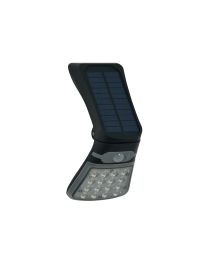 Filip 2 Watt Outdoor Solar LED Flood Light with Sensor - Black